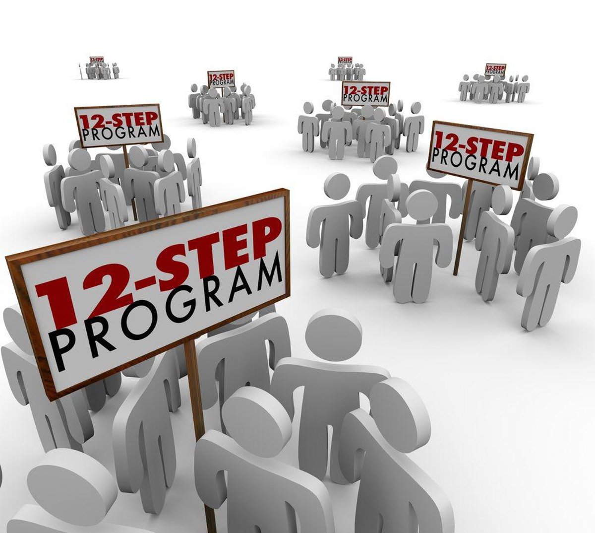 12 step program