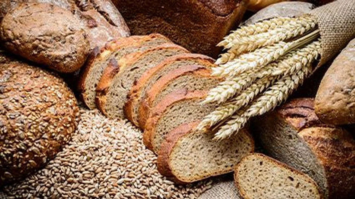 whole grain breads and rolls on the table