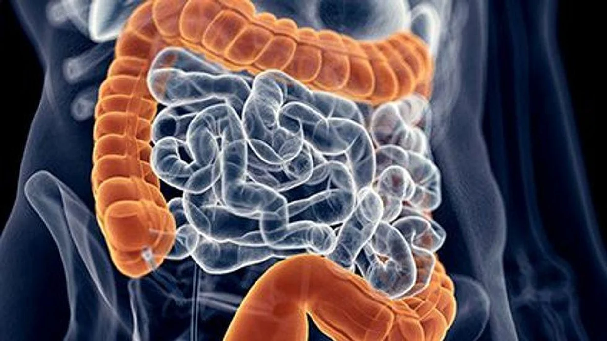 colon