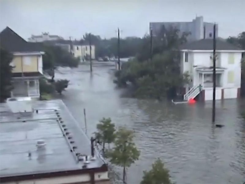 Tree Rings Show Hurricanes Becoming Wetter, Longer, More Dangerous