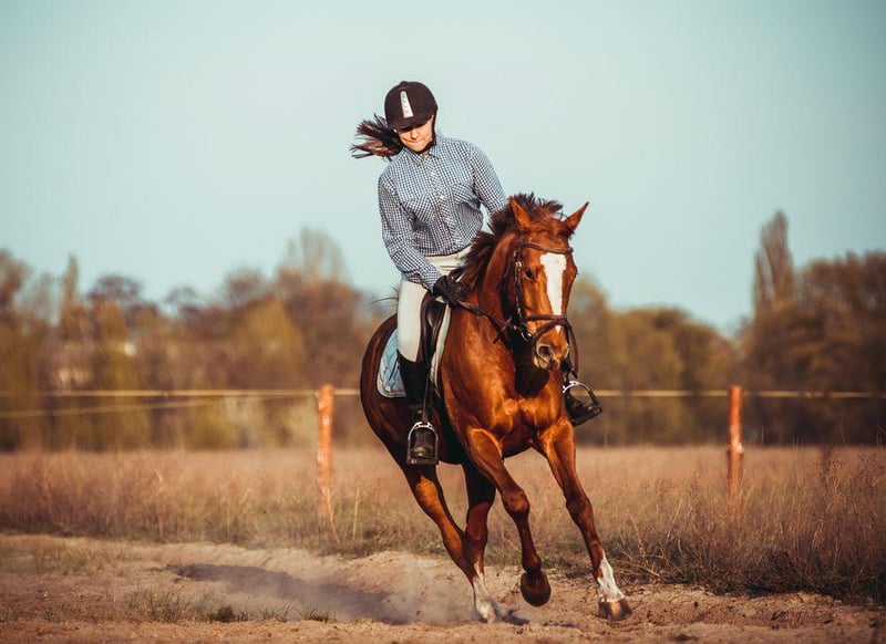 Horseback Riding Carries Big Risk for Serious Injury: Study