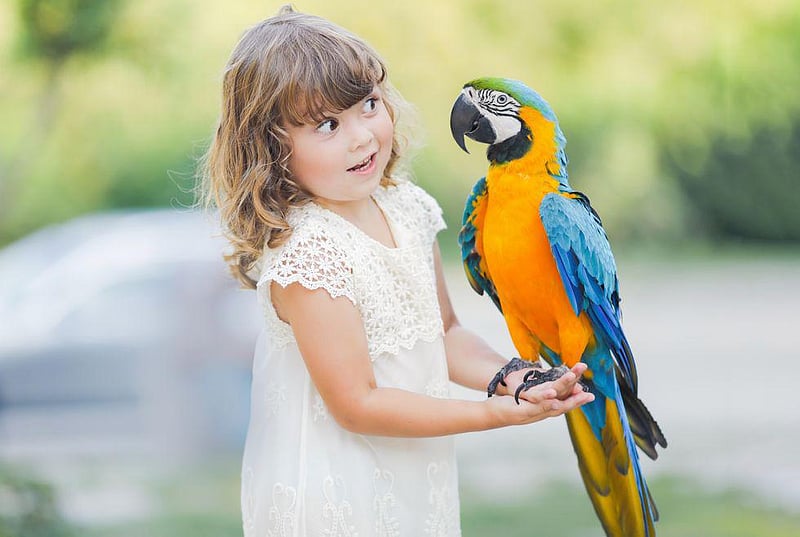 News Picture: Your Brainy Pet Bird Thrives on Stimulation