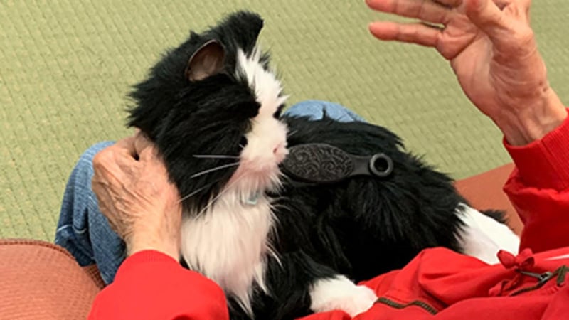 Robotic Pets Are Helping People with Dementia
