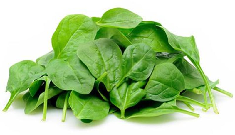 CDC Warns of E. Coli Outbreak Linked to Baby Spinach
