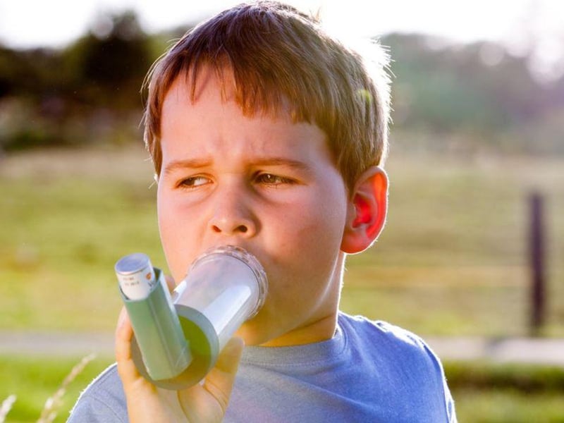 Climate Change May Not Increase Allergies in Kids With Asthma: Study
