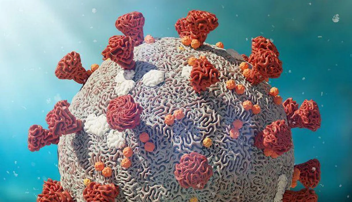 covid coronavirus