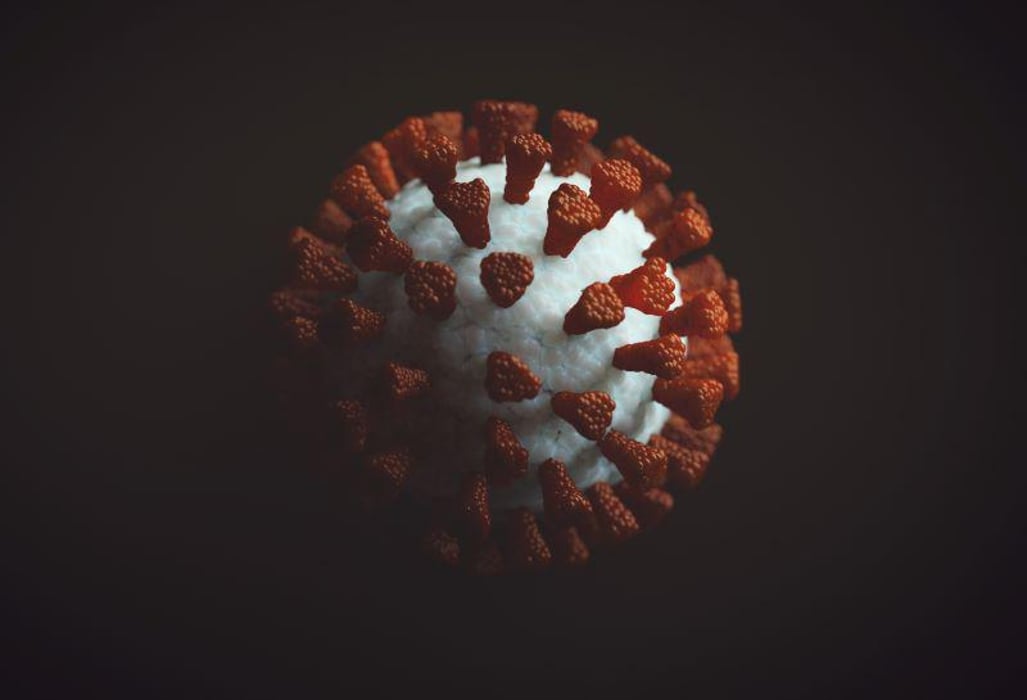 covid coronavirus