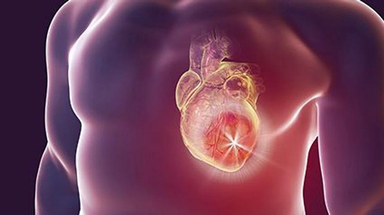 a human body with a heart