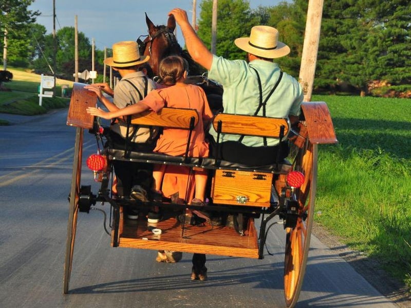 Gene Found in Amish Helps Protect Their Hearts