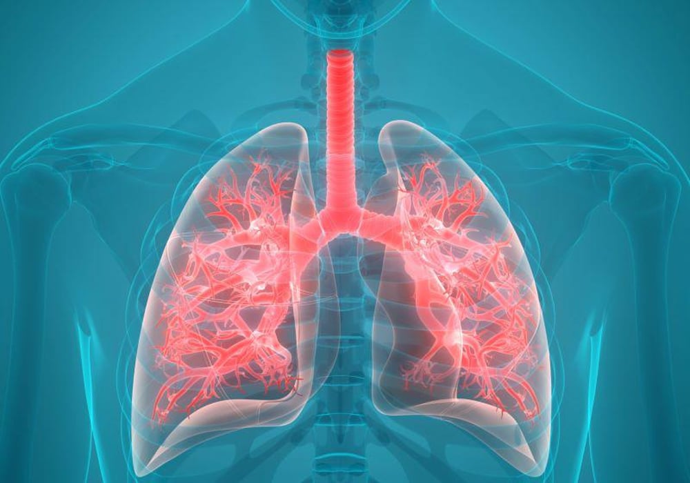 pulmonary lung