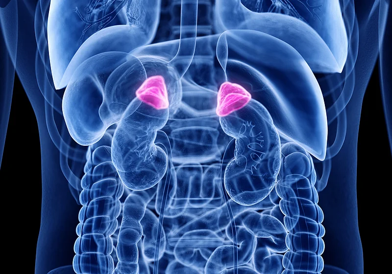 `Benign` Adrenal Gland Tumors Might Cause Harm to Millions