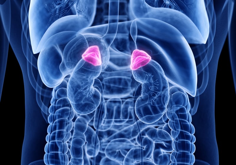 'Benign' Adrenal Gland Tumors Might Cause Harm to Millions