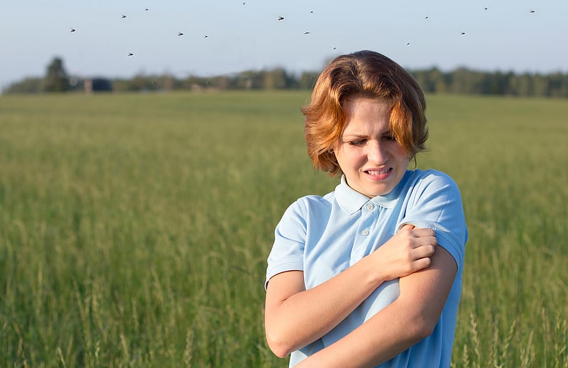 News Picture: Summer Bug Bite? Expert Gives Answers on Care