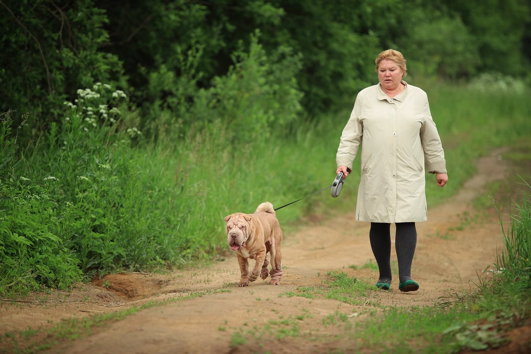 Big fat woman walking in the park with a Shar-Pei.