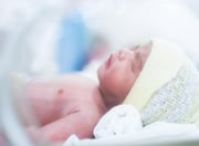 La terapia con cánula nasal de alto flujo aumenta las intubaciones exitosas en neonatos