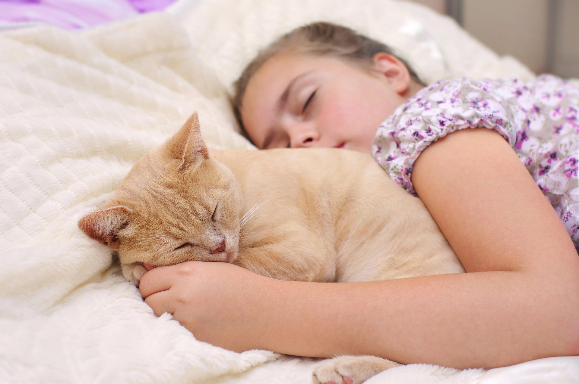 News Picture: Pets Could Help Prevent Food Allergies in Kids