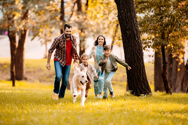 News Picture: A Child's Pet Dog May Shield Them From Crohn's Disease