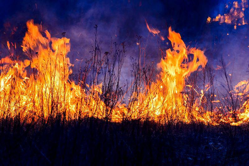 News Picture: U.S. Wildfires: Much Bigger, More Frequent Now