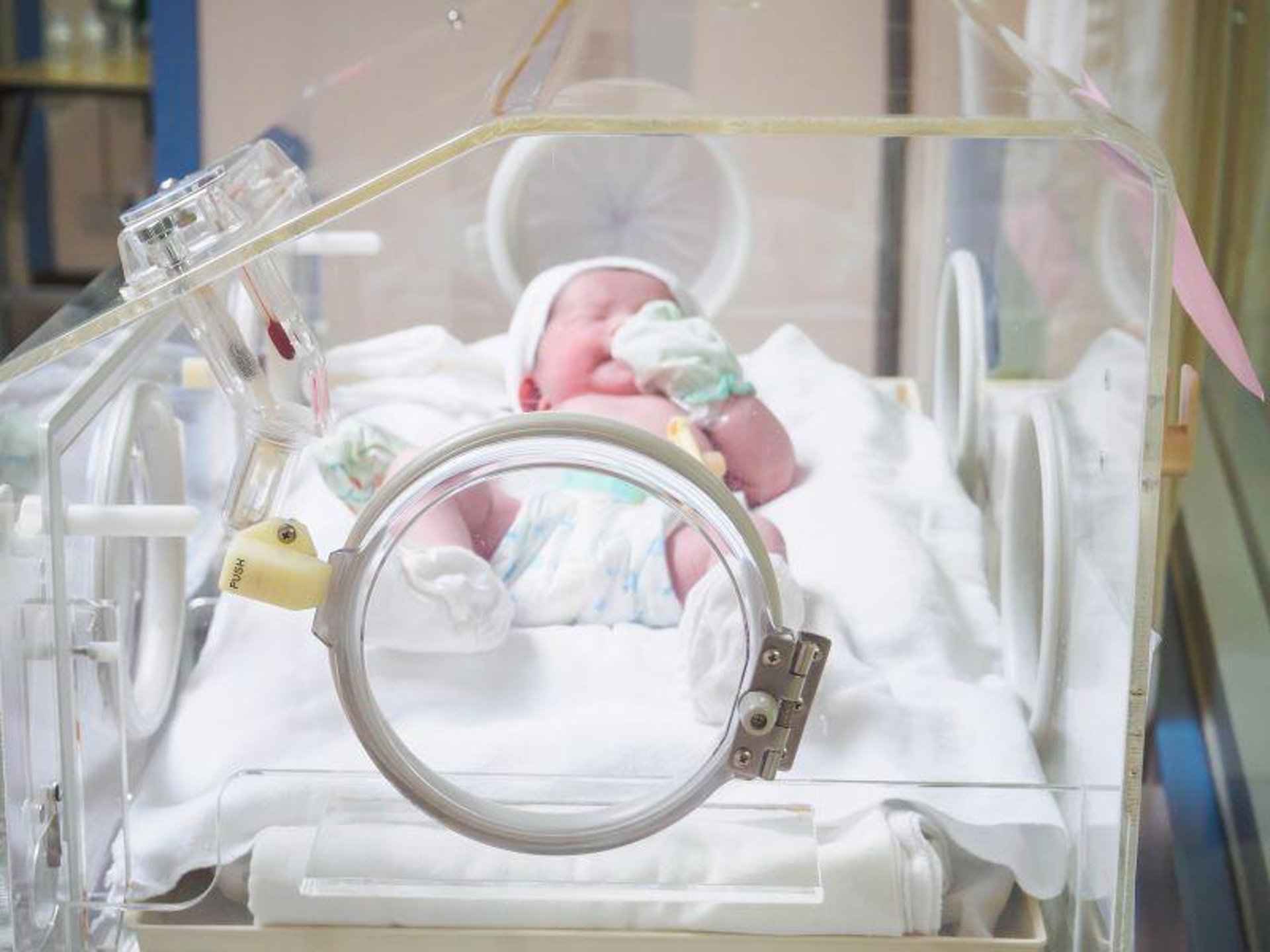 News Picture: Loud Incubators Might Damage Preemie Babies' Hearing