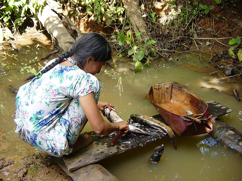 News Picture: Amazon Tribes May Have Lowest Rate of Dementia in the World