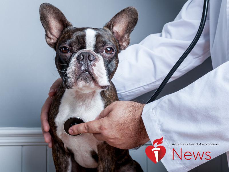 News Picture: AHA News: How to Keep Your Dog's Heart Healthy