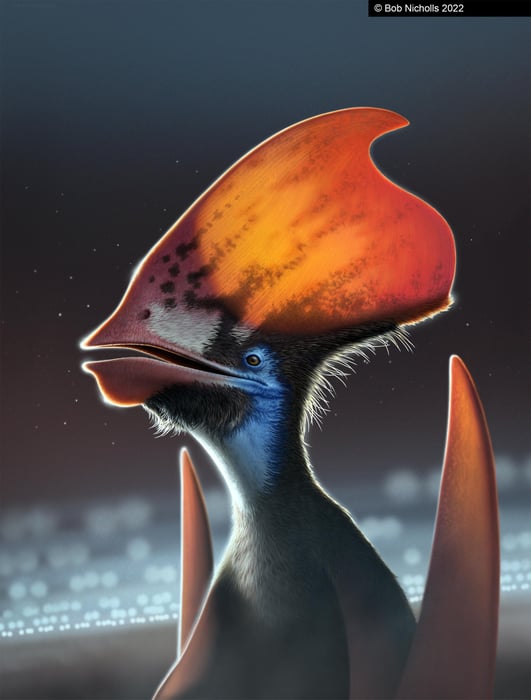 pterosaur Tupandactylus imperator dinosaur