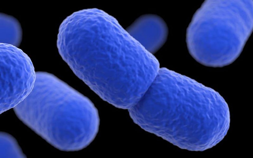 CDC Says Mystery Listeria Outbreak Has Killed One, Hospitalized 22