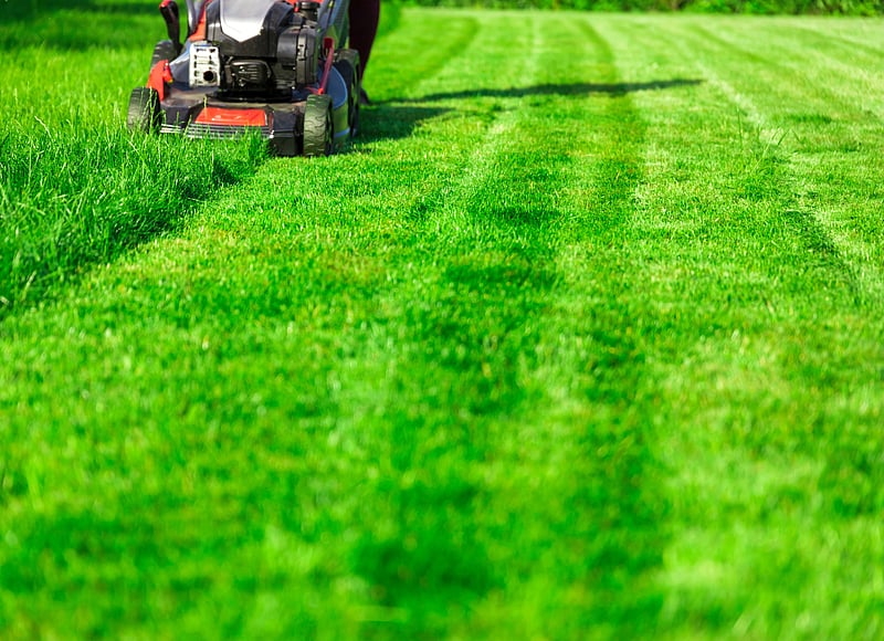 News Picture: Weed Killer Glyphosate Found in Most Americans' Urine