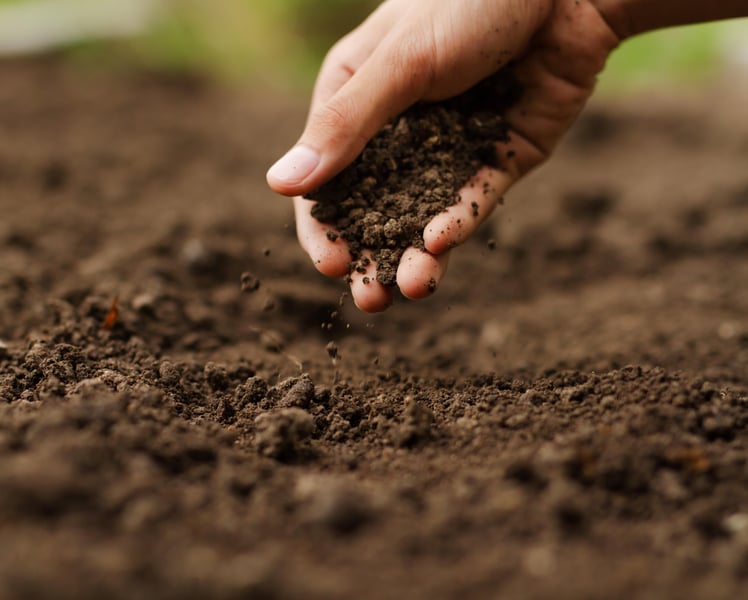 Pollutants in Soil Can Harm Your Heart