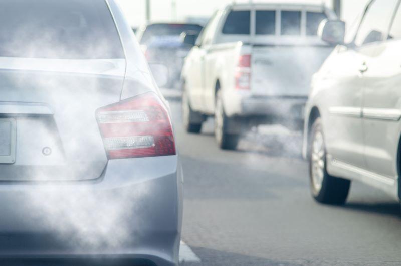 Blood Levels of Vitamin B Amino Acids Linked to Dementia Risk After Air Pollution Exposure