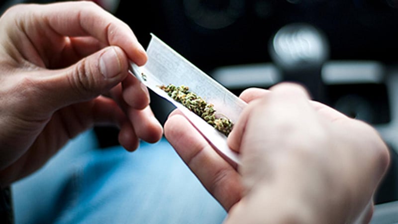 Buying Marijuana Online Easy for Minors, Study Finds