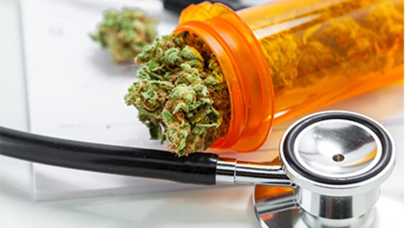 Medical Marijuana vs. Opioids: Many Patients with Chronic Pain Are Choosing Pot, Study Finds