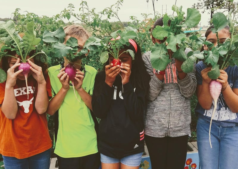Elementary School Kids Get Healthier When Gardening Is on Curriculum