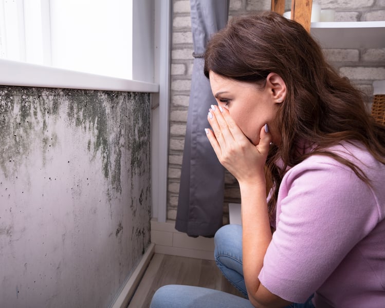 Got a Mold Allergy? Here's How to Tell