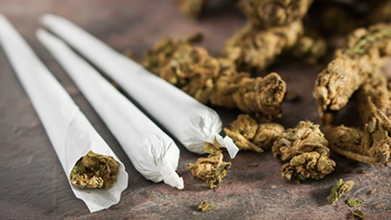 Using Pot May Triple the Risk of Artery Disease in Your Legs
