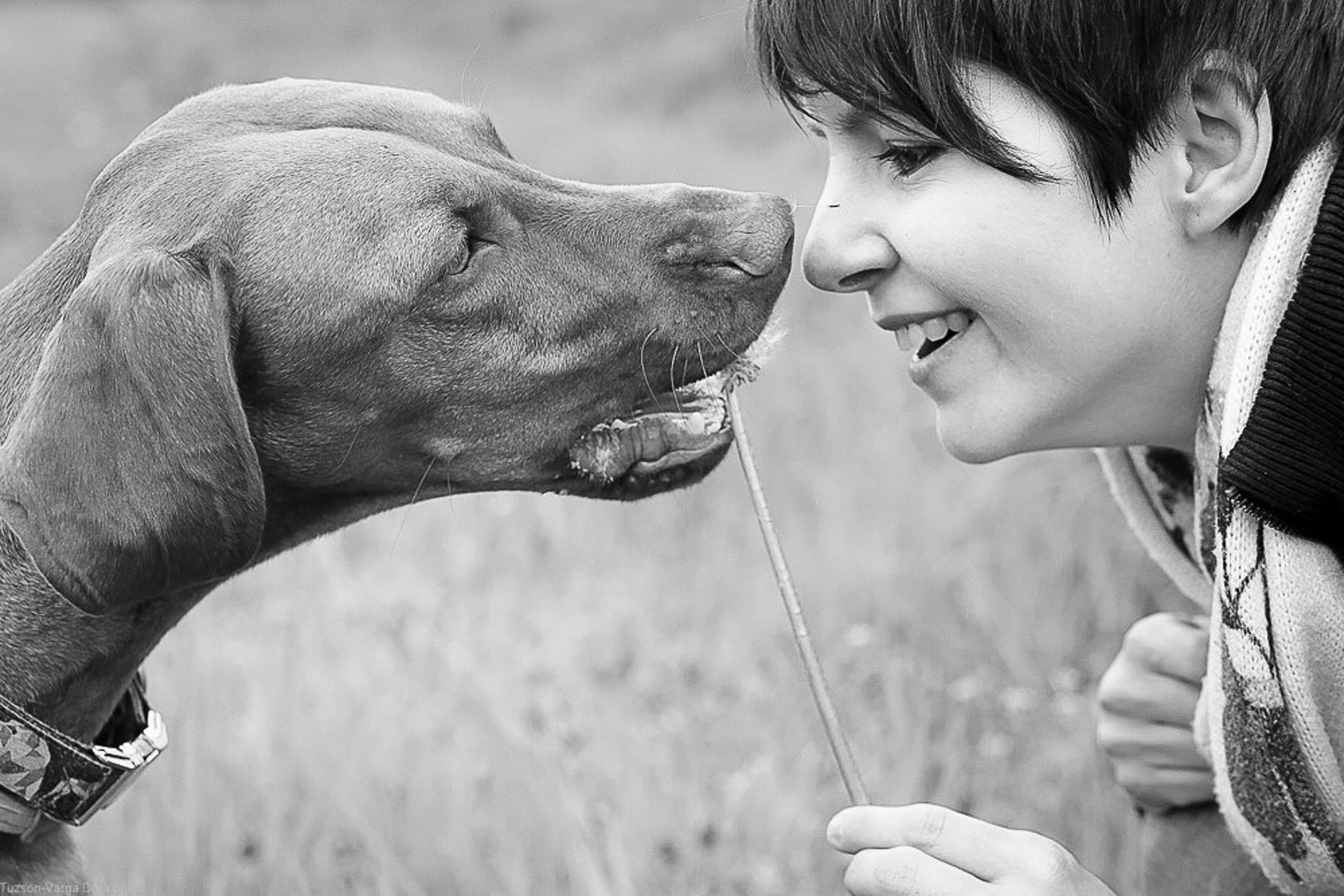 News Picture: Dogs Can Tell When You're Talking to Them, and Might Prefer Female Voices
